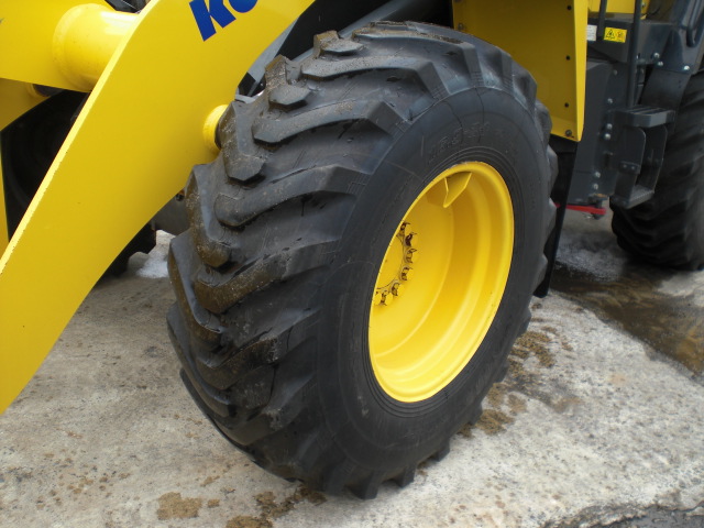 WA100-8 07.JPG
